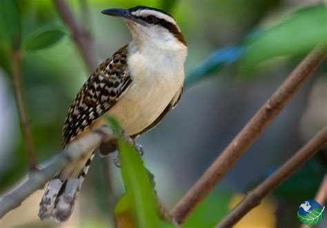 Rincon de la Vieja National Park in Guanacaste, Costa Rica