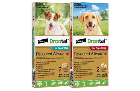 Drontal™ for dogs and puppies: treats and controls gastrointestinal worms | NZ