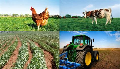 The History of Agriculture: A Guide to the Past - Agric4Profits