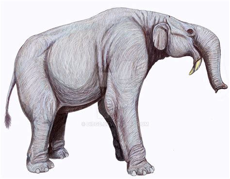 Deinotherium from Moldova by DiBgd on DeviantArt