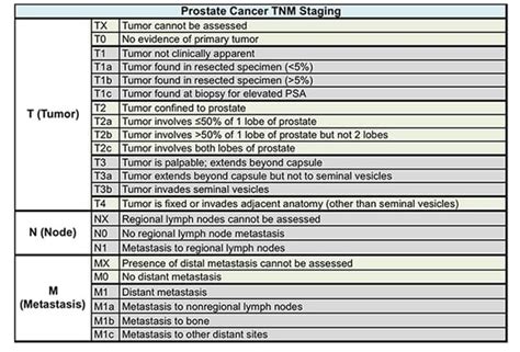 Prostate Cancer Stages