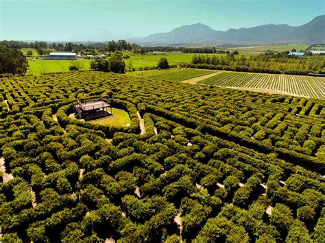 Redberry Farm, George, South Africa