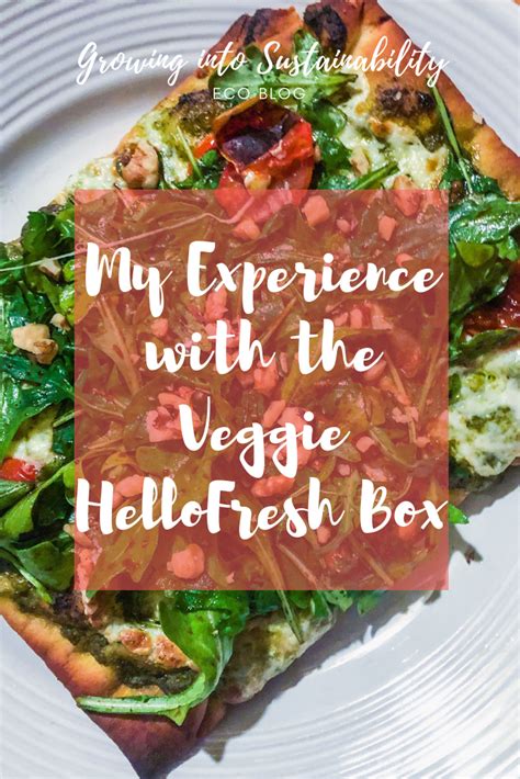 My Experience with the Veggie HelloFresh Box | Veggie diet, Veggies, Hello fresh