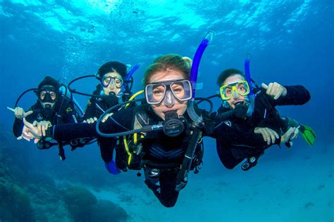 Outer Reef Introductory Diving Day Trip from Cairns | Divers Den