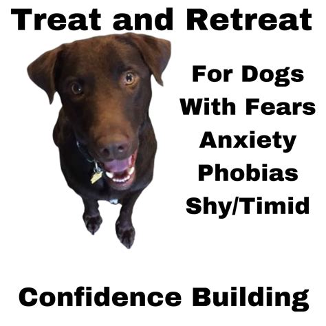 Treat and Retreat Dog Training - Dog Behaviorist Near Me