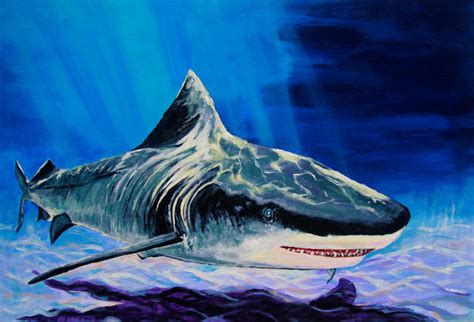 Shark by artgalaxy1 on DeviantArt