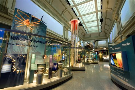 The New Sant Ocean Hall Opens Sept. 27 at the Smithsonian’s National ...