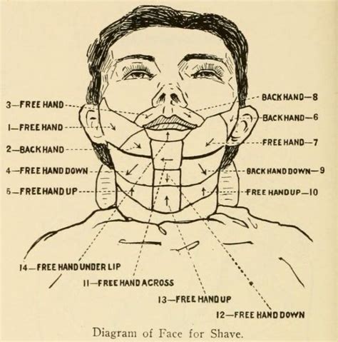 Barbering 14 Stroke Shave Diagram