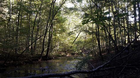 Swan Creek Picnic Area, Milepost 385.9 (U.S. National Park Service)