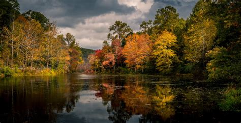 New Jersey Fall Foliage: A Road Trip Guide - Minneopa Orchards