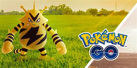 Electabuzz Raid Guide For Pokémon GO Players: December 2021