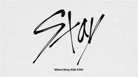 {All about STAY} WHERE STRAY KIDS STAY | Stray Kids Amino