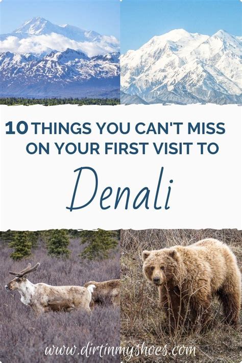 10 Things You Can't Miss On Your First Visit to Denali | Alaska road ...