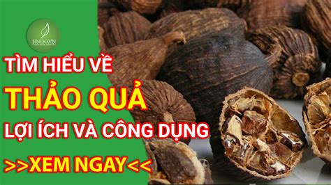 Thảo quả là gì? Lợi ích của thảo quả trong ẩm thực và chữa bệnh