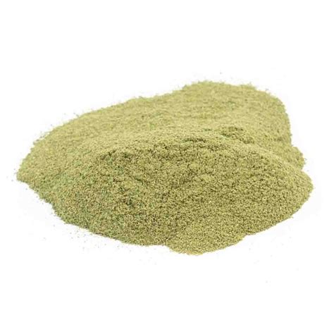 Gotu Kola Powder | Hatton Naturals - Bulk Organic Powders