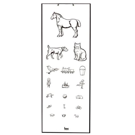 Eye Chart Child Standard Animal 6 Metres - SSS Australia - SSS ...