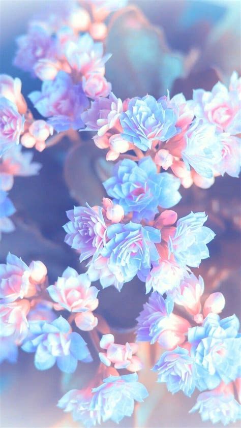 Aesthetic Flowers Wallpapers - Wallpaper Cave