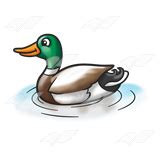 clip art mallard duck - Clip Art Library