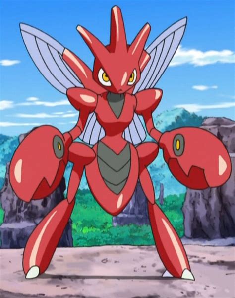 McCann's Scizor | Pokémon Wiki | Fandom