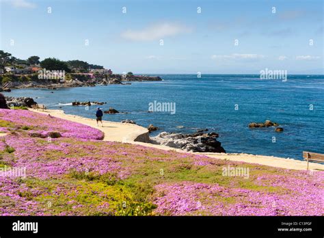 Monterey Bay Coastal Trail along Monterey Bay in Pacific Grove on ...