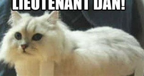 Lieutenant Dan you got new legs! | Cute Animal Memes