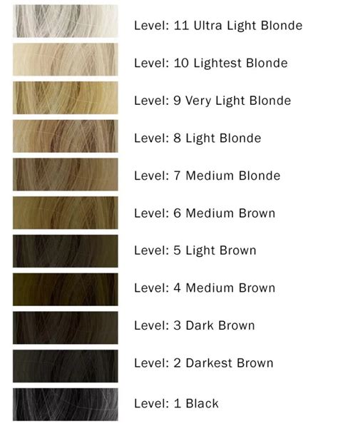 Hair Color Levels and Different Volumes of Developers | WunderKult | Ion hair color chart ...