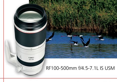 Canon RF 100-500mm L Is USM Super-Telephoto Ubuy Nepal | lupon.gov.ph