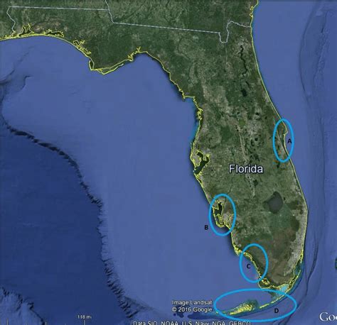 9. Coastal Systems with high juvenile Atlantic Tarpon abundance and... | Download Scientific Diagram