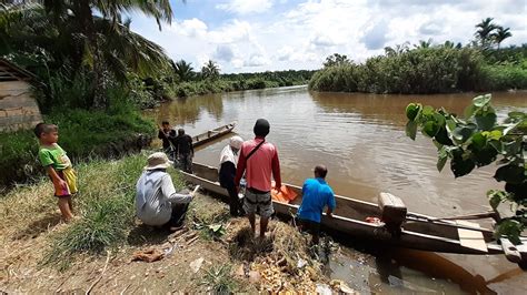 .: Mentawai Primates: Sharing Conservation Message through Photography Training and Wildlife ...