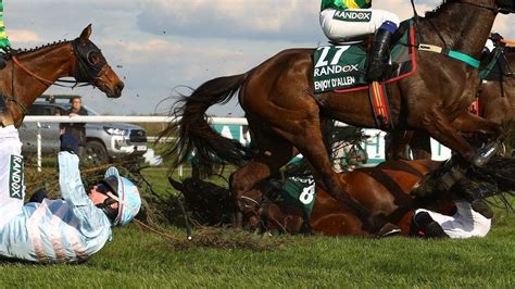 Petition · End the Grand National (Horse Race.) · Change.org