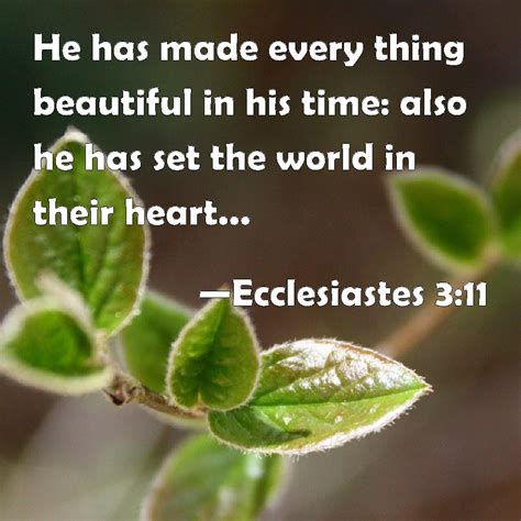 Ecclesiastes 3:11 He has made every thing beautiful in his time: also ...