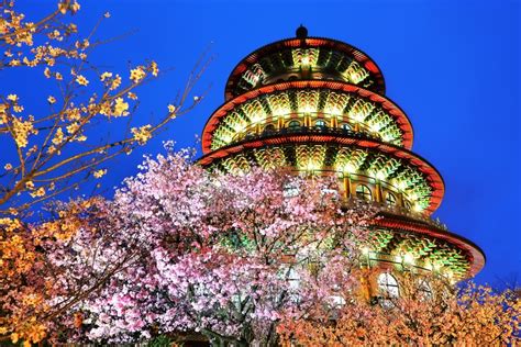 The Best Places to See Cherry Blossoms in Taiwan