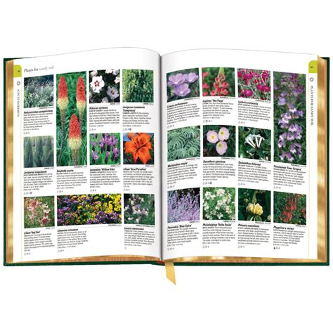 ENCYCLOPEDIA OF GARDEN PLANTS