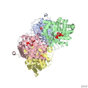 Aldolase - Proteopedia, life in 3D