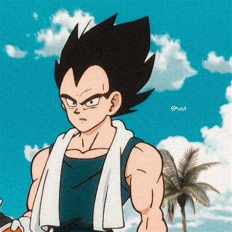 Goku Vegeta Matching Pfp Profile Pictures Avatars | Hot Sex Picture