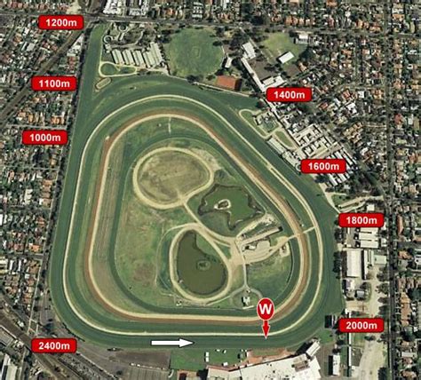 Expert Caulfield Race Tips For Caulfield Races Today