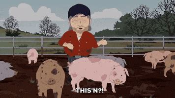 Pig Farm GIFs - Find & Share on GIPHY