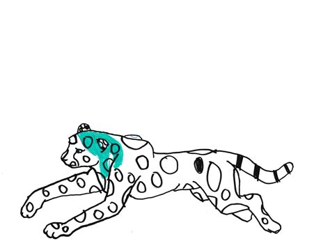 Clouded Leopard Drawing | Free download on ClipArtMag