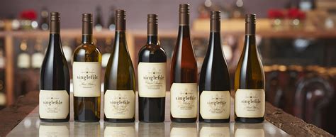 Wine bottle shapes and sizes – do first impressions count? | Blog | Singlefile Wines