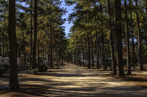 Finding Jerry and Mary: Jackson Springs, North Carolina