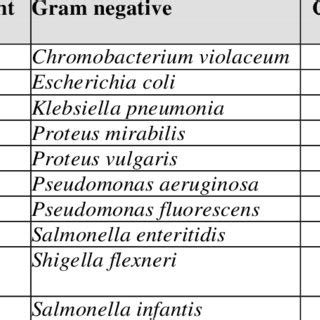 List of gram positive bacteria, gram-negative bacteria, and... | Download Scientific Diagram