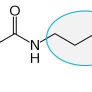 Structure of sulphonamide (1930) | Download Scientific Diagram