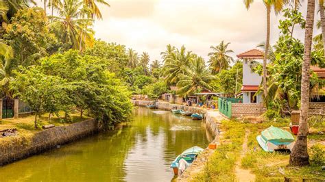 The BEST Negombo Tours and Things to Do in 2022 - FREE Cancellation | GetYourGuide