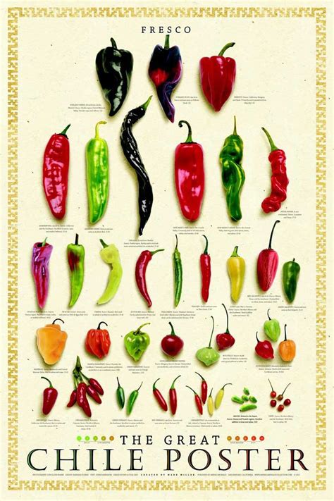 17 Best images about Types of Peppers on Pinterest | Bloomer, Flats and ...