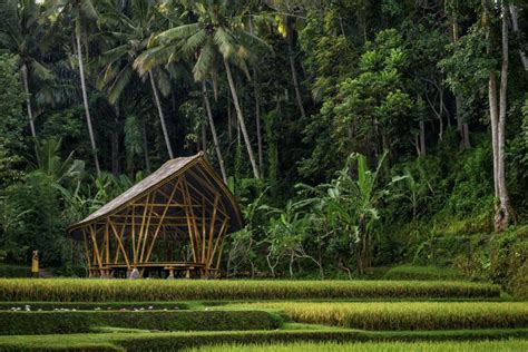 Four Seasons in Ubud, Bali: if it’s good enough for the Obamas ... | Post Magazine | South China ...