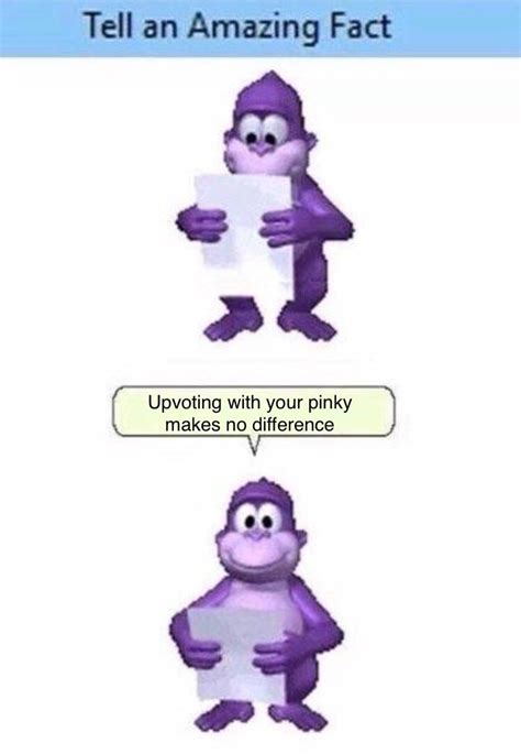 Bonzi buddy memes - alleymaha