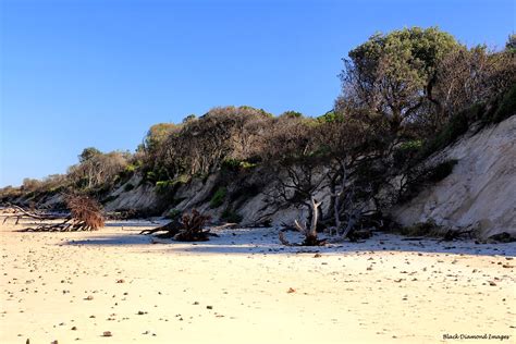 Beach Erosion, Old Bar Beach, Old Bar, Near Taree, NSW | Flickr