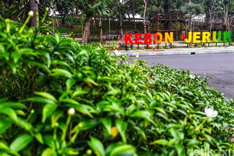 Asal Usul Nama Kawasan Kebon Jeruk di Jakarta Barat - Satusuaraexpeess.co