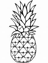 Pineapple coloring Pages Download And Print sketch template