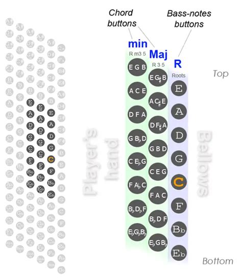 24 Bass Accordion Chart - Diagram, Bass Notes, List of Chords